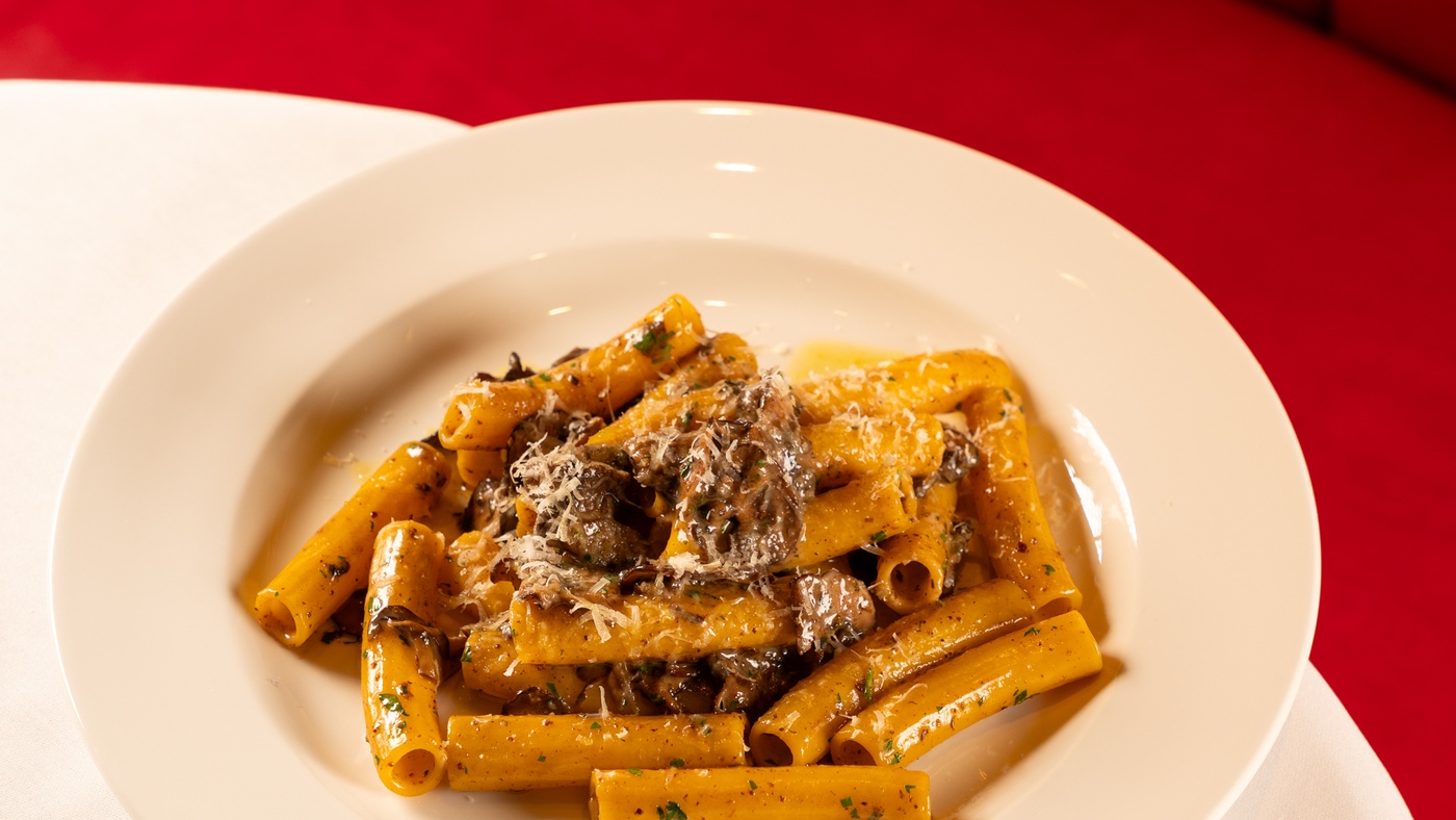 Fresh rigatoni, fricassée of mushrooms, Pecorino, Cretan olive oil (v)